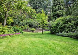 Optimiser l'expérience du jardin à Saint-Frezal-de-Ventalon